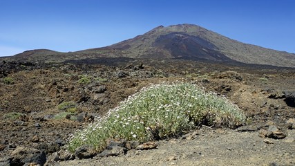 rough volcanic landscpae on teide volcano