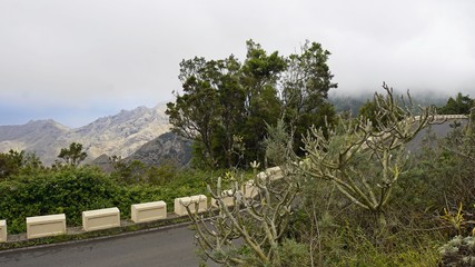 curvy serpentine roads on teide volcano
