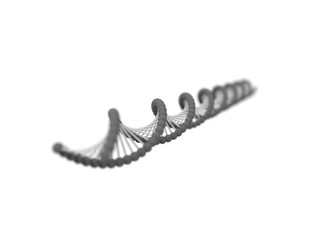 Obraz premium 3d rendering of DNA string isolated in white background