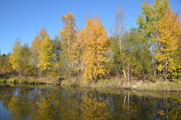 autumn landscape with trees and lake in autumn