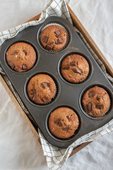 home made chocolate chip muffins in a muffin tray