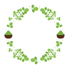 Vector round frame with asian superfood moringa oleifera leaves and powder in the bowl.