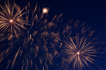 Fireworks, salute on the dark sky