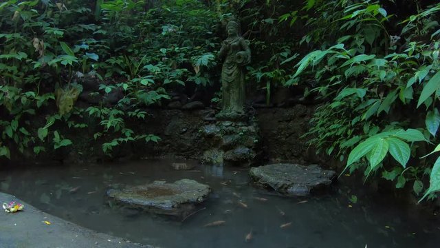 Ancient, Water, Tech ,trick, mini, water, filter, in ,a, jungle ,
4k,Cinematic,Footage,for,Movies,HD,High,Quality,Cinematic,