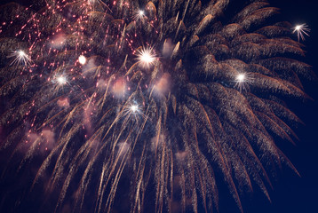 Fireworks, salute on the dark sky