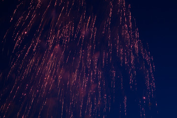 Fireworks, salute on the dark sky