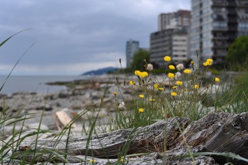 Seawall walk, West Vancouver