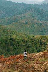 Deforestation concept image consisting of an unrecognizable man walking among felled trees in a forestry.