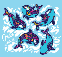 Killer whale orca set in floral style. Decorative vector illustration