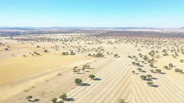 aerial view of a summer landscape next to Hinojosa del Duque, province of Cordoba, Andalusia, Spain