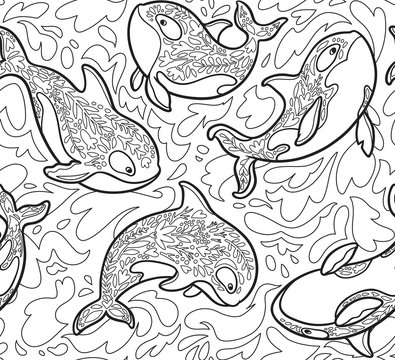 Killer whale orca seamless pattern in contour. Vector illustration