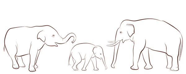 Family of elephants in outline style, vector set of Asian elephants isolated on white background 