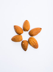 close up of  brown almonds seeds isolated on white background