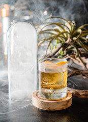 creative cocktail in the bar