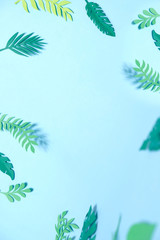 Fototapeta na wymiar tropical leaves cut from paper on blue background.
