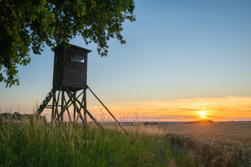 Hunting tower standing in a field with a lone oak,sunset time
