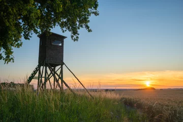 Foto op Canvas Hunting tower standing in a field with a lone oak,sunset time © Mike Mareen
