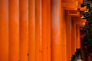 Close-up the Torii (the Japanese shinto style gates) path of Fushimi Inari temple