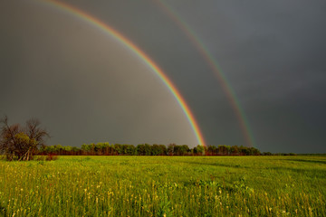 double rainbow in summer after rain in the field. Nature after the rain. double Rainbow
