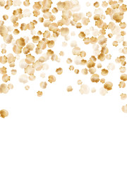 Gold seashells vector, golden pearl bivalved mollusks. Cartoon scallop, bivalve pearl shell, marine mollusk isolated on white wild life nature background. Trendy gold sea shell illustration.