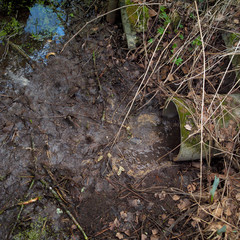 Wastewater leaking out of canalization pipe