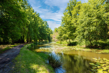 Magnifique paysage du lac de Soustons dans les Landes