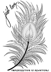 peacock feathers outline, doodle feather