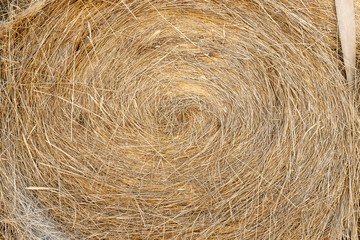 Front view of hay roll tied to a truck