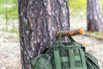 Backpack of green tourist hangs on knot of tree in summer dry coniferous forest.