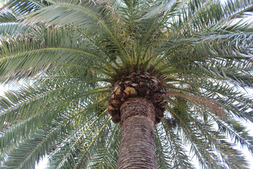 Rapallo, Italy - 03 27 2013: View of the streets of a resort town Rapallo.
