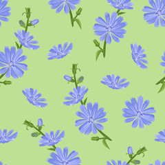 Obraz na płótnie Canvas Blue wildflowers on green background seamless pattern. Vector floral illustration of flowering chicory in cartoon simple flat style.