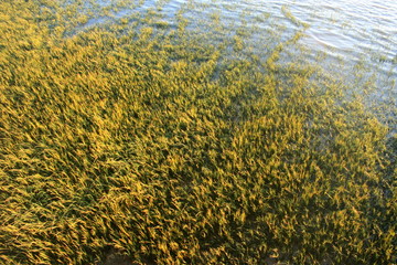 sunset in the ria de huelva beaches of spain