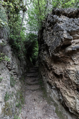 Narrow path between rocks and trees in Pale (Umbria, Italy)