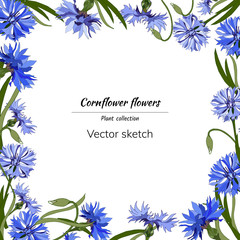 Fototapeta na wymiar Floral frame for text. Bright blue flowers on a white background for decoration, paper, cards, greetings. Vector illustration