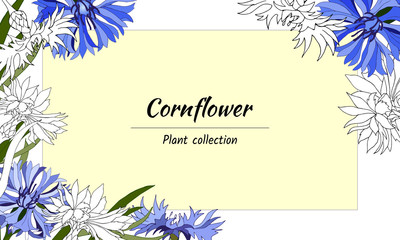 Floral frame of contour and blue spring flowers. For decoration, cards, greetings. Vector illustration