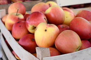 Apples on the market. Fresh organic red apples from the local farmers market. Apples background background texture seasoning Apples for sale. 