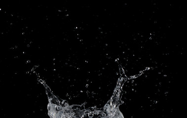 Salpicaduras de agua sobre fondo negro