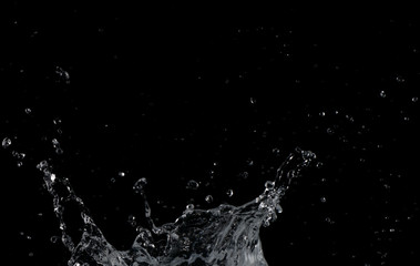 Salpicaduras de agua sobre fondo negro
