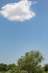 Obraz premium 日本 川の風景 多摩川