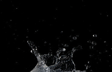 Salpicaduras de agua sobre fondo negro