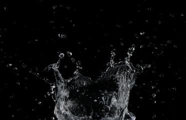 Salpicaduras de agua sobre fondo negro
