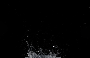 Fototapeta premium Salpicaduras de agua sobre fondo negro