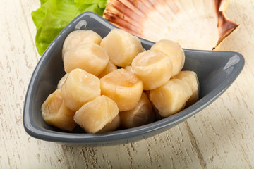 Raw scallops heap