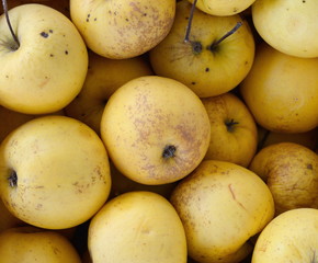 Apples on the market. Fresh organic yellow apples from the local farmers market. Apples background background texture seasoning Apples for sale. 