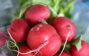 Bunch of red radishes in the market. Full frame of red radish. Food concept baner, poster.