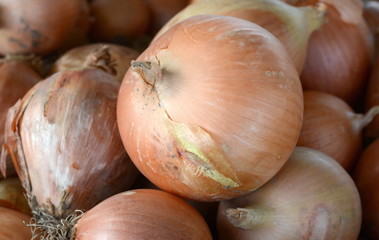 Fresh sweet onions at a farmers market. Fresh onions background. A bunch of Yellow onions. Close up.
