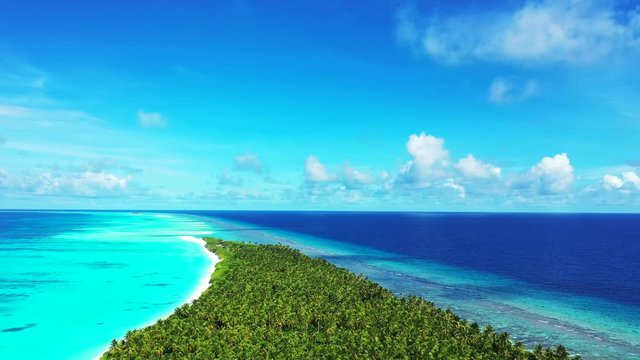 Aerial view above a tropical island of Bali. Flying above it, tilt down reveals more of the forest.