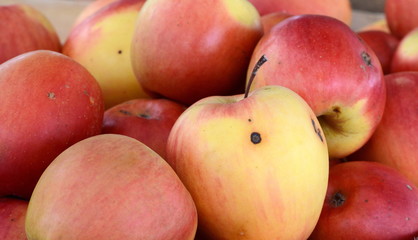 Apples on the market. Fresh organic red apples from the local farmers market. Apples background background texture seasoning Apples for sale. 