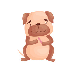 Cartoon pug does a manicure. Vector illustration on white background.