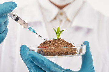 Seed growing in a lab cup with catalyst